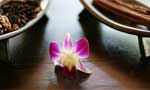 三亚财富海湾大(dà)酒店(diàn)SPA中(zhōng)心